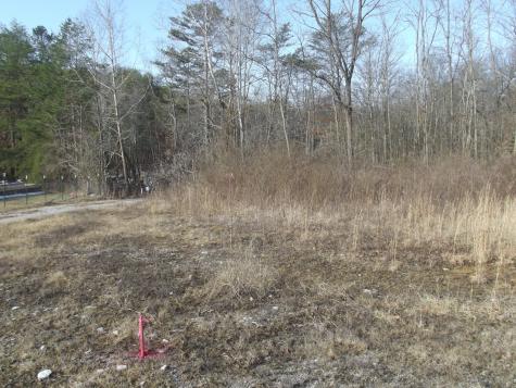 0 Main Street Palmer TN 37365