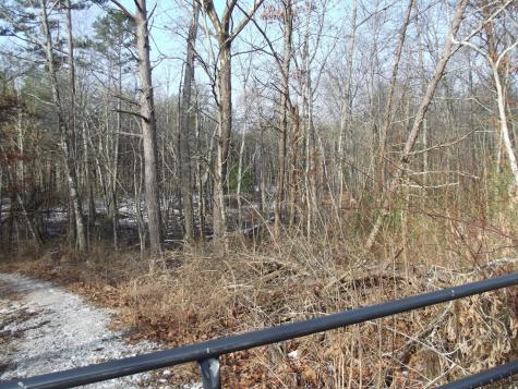 0 Main Street Palmer TN 37365