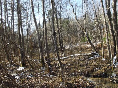 0 Main Street Palmer TN 37365