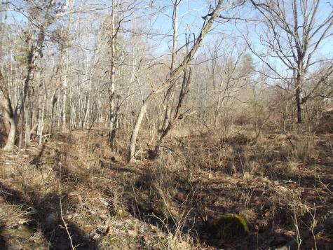 0 Main Street Palmer TN 37365