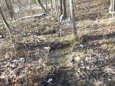 0 Main Street Palmer TN 37365