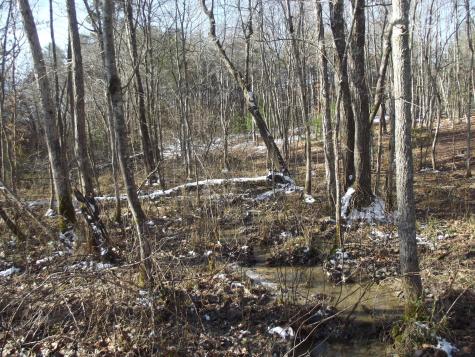 0 Main Street Palmer TN 37365