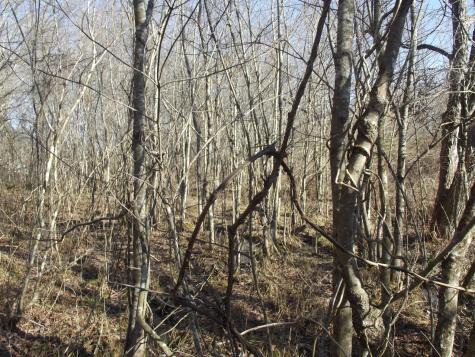 0 Main Street Palmer TN 37365