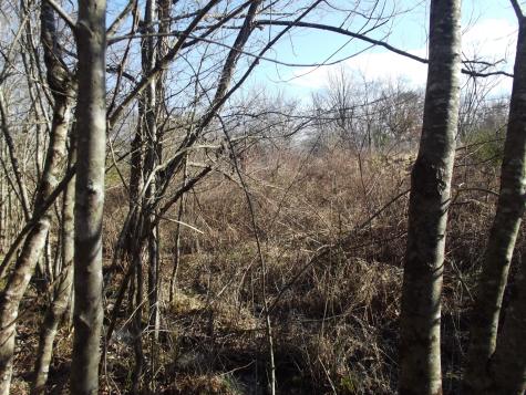 0 Main Street Palmer TN 37365