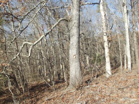 0 Main Street Palmer TN 37365