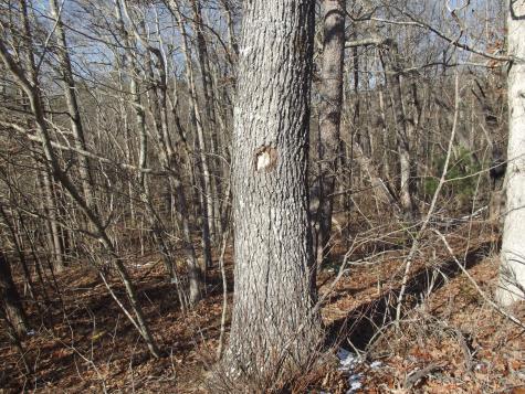 0 Main Street Palmer TN 37365