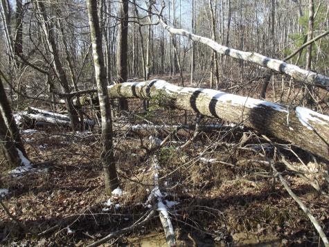 0 Main Street Palmer TN 37365