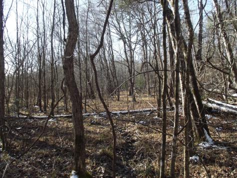 0 Main Street Palmer TN 37365