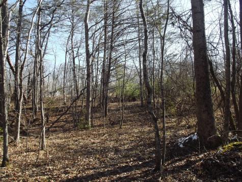 0 Main Street Palmer TN 37365