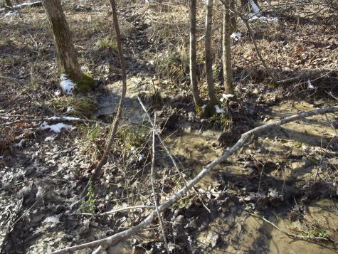 0 Main Street Palmer TN 37365