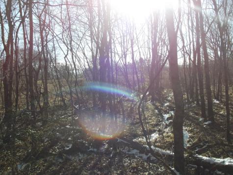 0 Main Street Palmer TN 37365