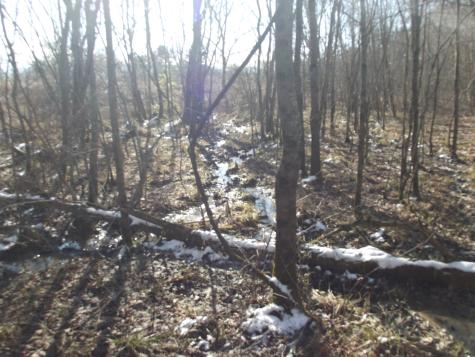 0 Main Street Palmer TN 37365