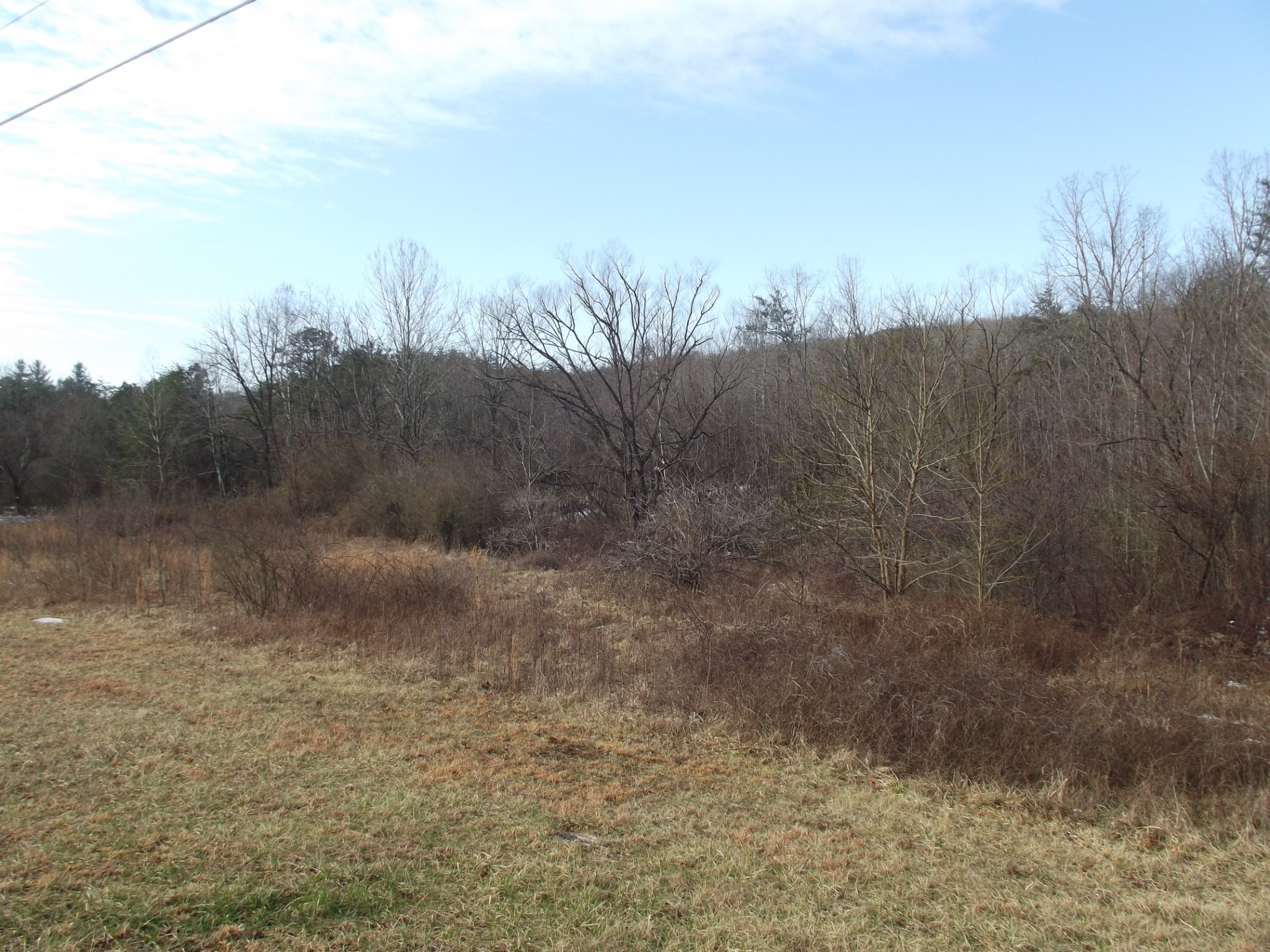 0 Main Street Palmer TN 37365
