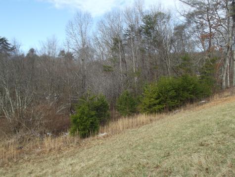 0 Main Street Palmer TN 37365