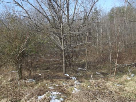 0 Main Street Palmer TN 37365