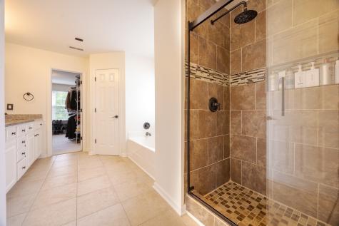 1047 Tanyard Springs Drive Spring Hill TN 37174