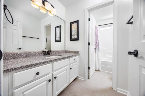 1047 Tanyard Springs Drive Spring Hill TN 37174