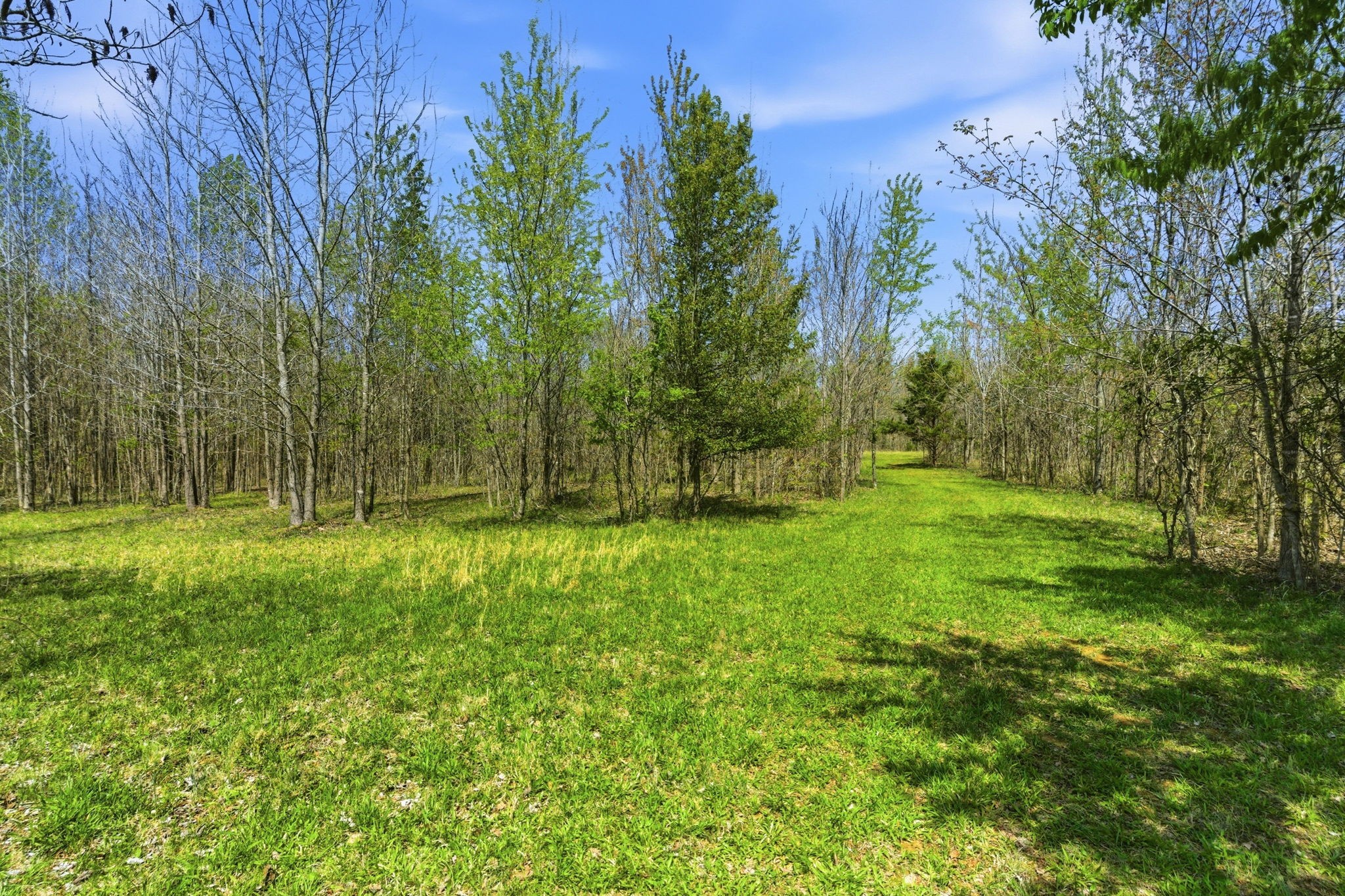 8270 Bethlehem Road Springfield TN 37172