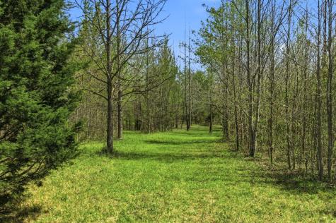 8270 Bethlehem Road Springfield TN 37172