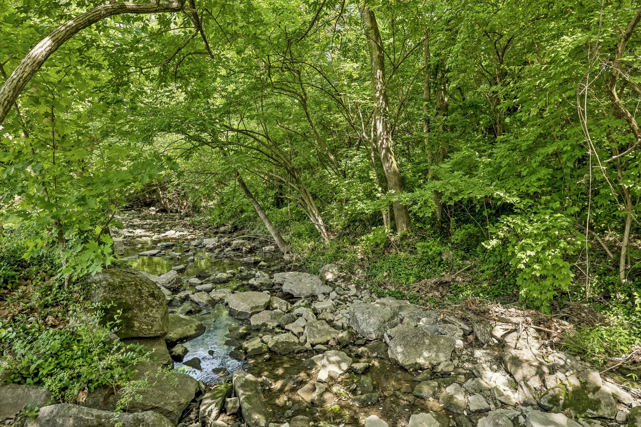 300 Finley Drive Nashville TN 37217