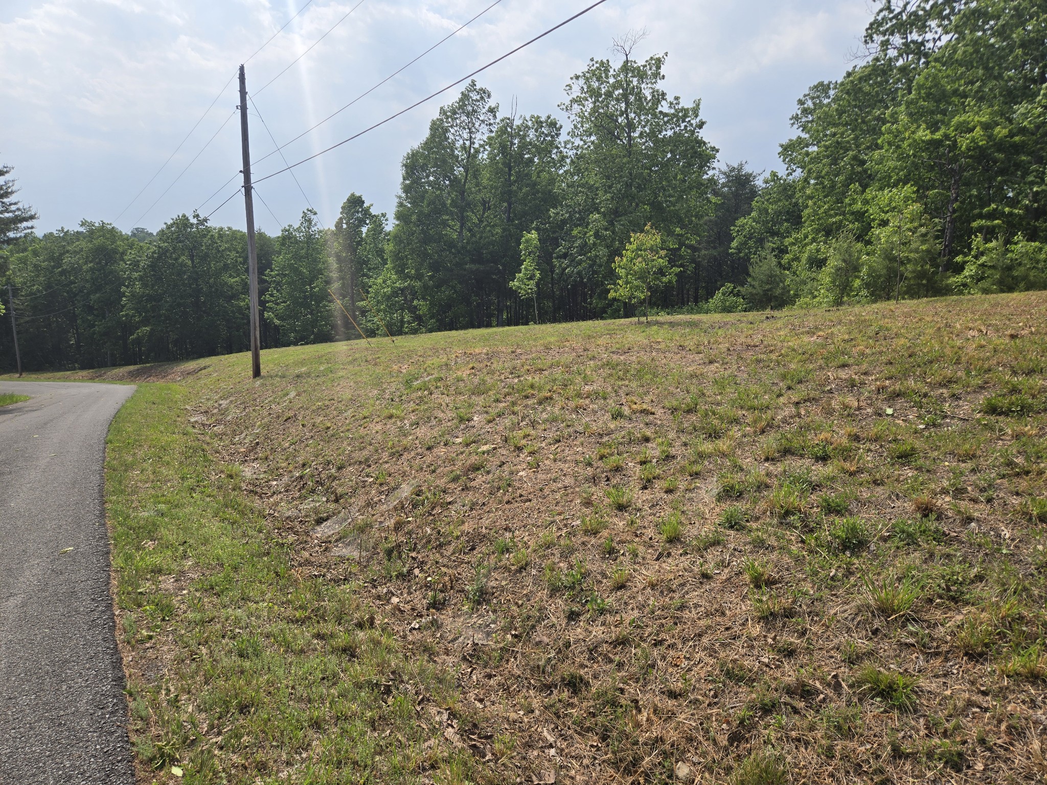 1 Turtle Point Waverly TN 37185