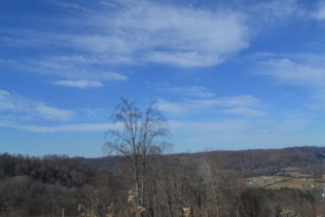0 Schelley Road Gainesboro TN 38562