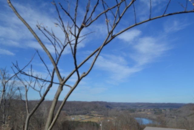 0 Schelley Road Gainesboro TN 38562