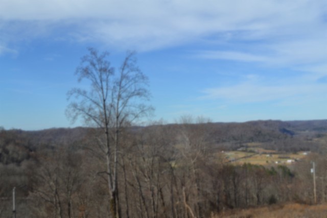 0 Schelley Road Gainesboro TN 38562