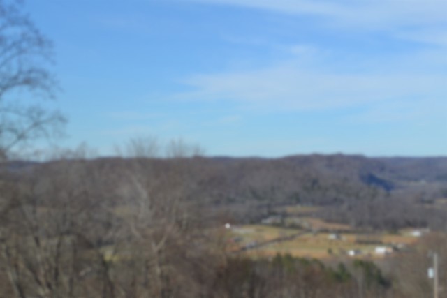 0 Schelley Road Gainesboro TN 38562