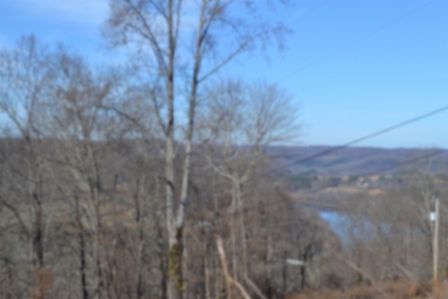 0 Schelley Road Gainesboro TN 38562
