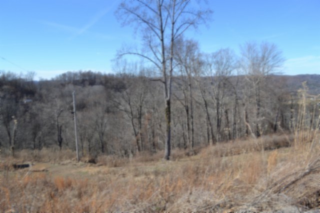 0 Schelley Road Gainesboro TN 38562