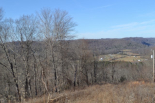 0 Schelley Road Gainesboro TN 38562