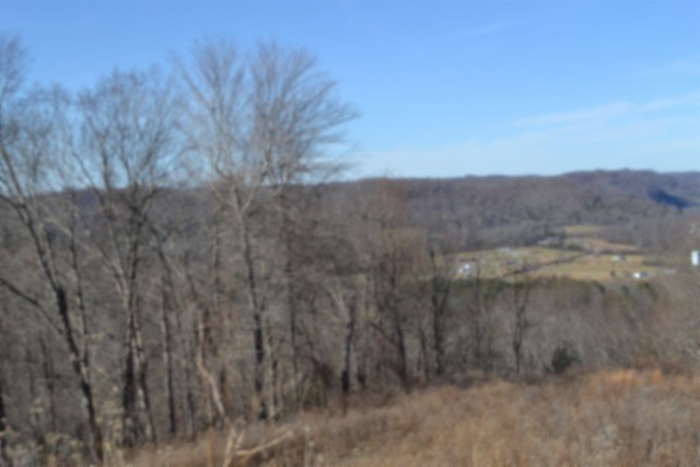 0 Schelley Road Gainesboro TN 38562