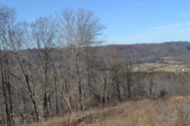 0 Schelley Road Gainesboro TN 38562