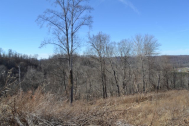 0 Schelley Road Gainesboro TN 38562