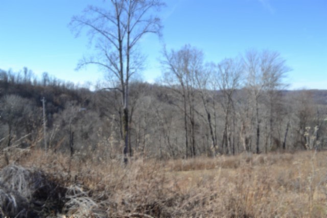 0 Schelley Road Gainesboro TN 38562