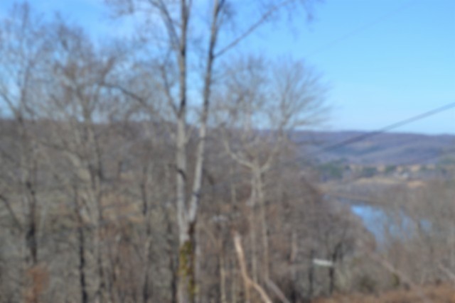 0 Schelley Road Gainesboro TN 38562