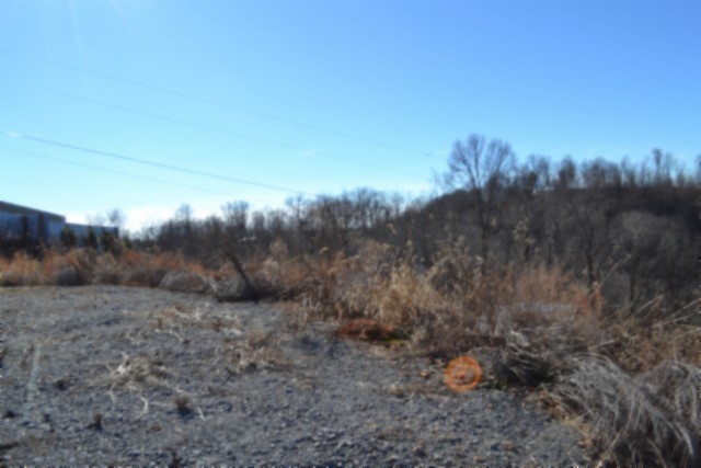 0 Schelley Road Gainesboro TN 38562