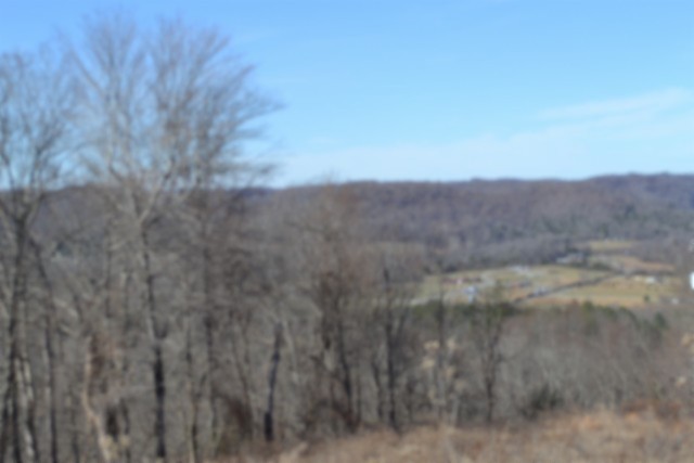 0 Schelley Road Gainesboro TN 38562