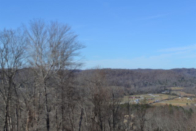 0 Schelley Road Gainesboro TN 38562