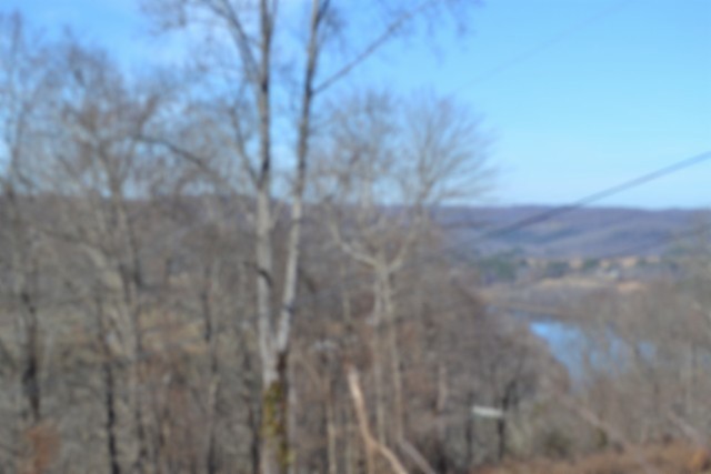 0 Schelley Road Gainesboro TN 38562