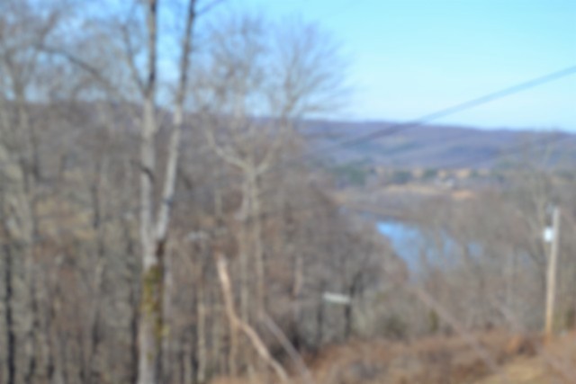 0 Schelley Road Gainesboro TN 38562