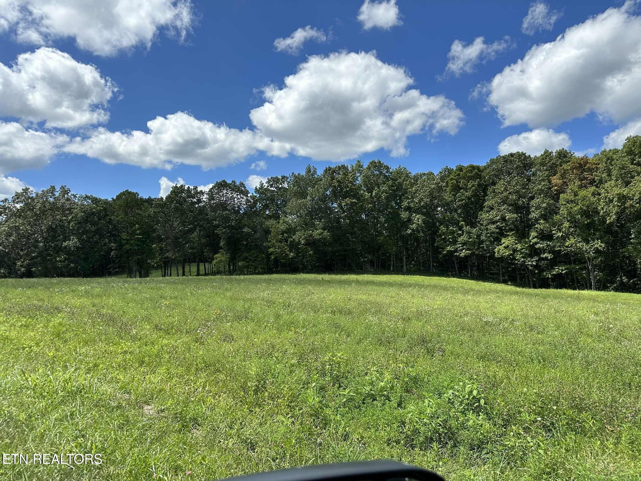 0 Smith Mountain Road Rockwood TN 37854