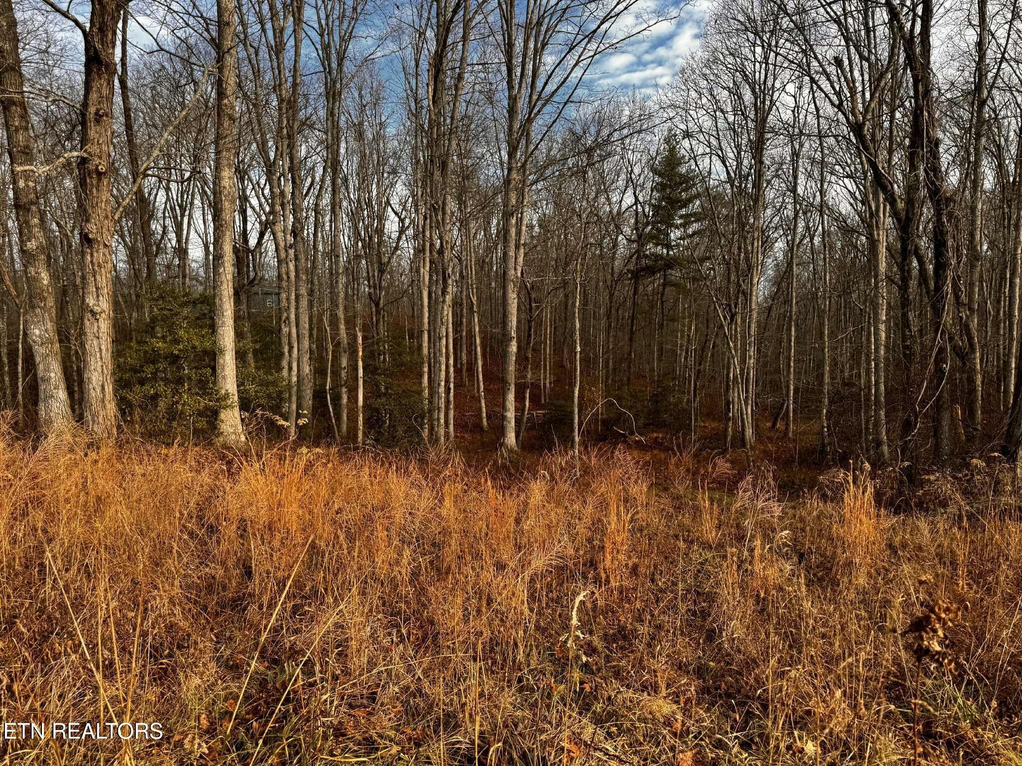 0 Smith Mountain Road Rockwood TN 37854