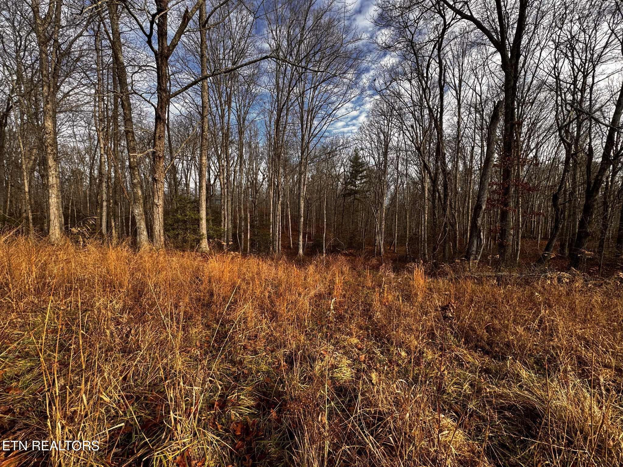 0 Smith Mountain Road Rockwood TN 37854