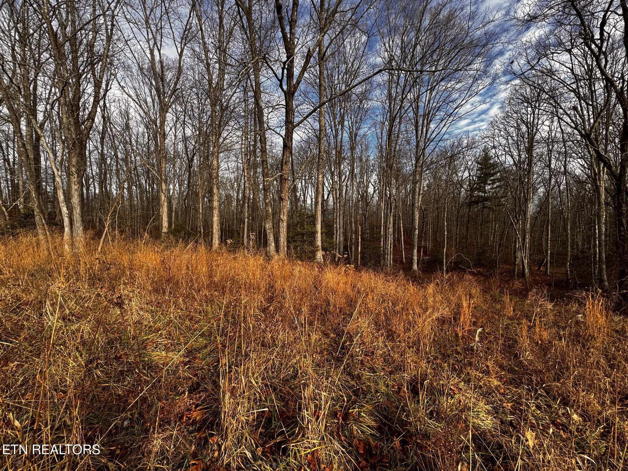 0 Smith Mountain Road Rockwood TN 37854