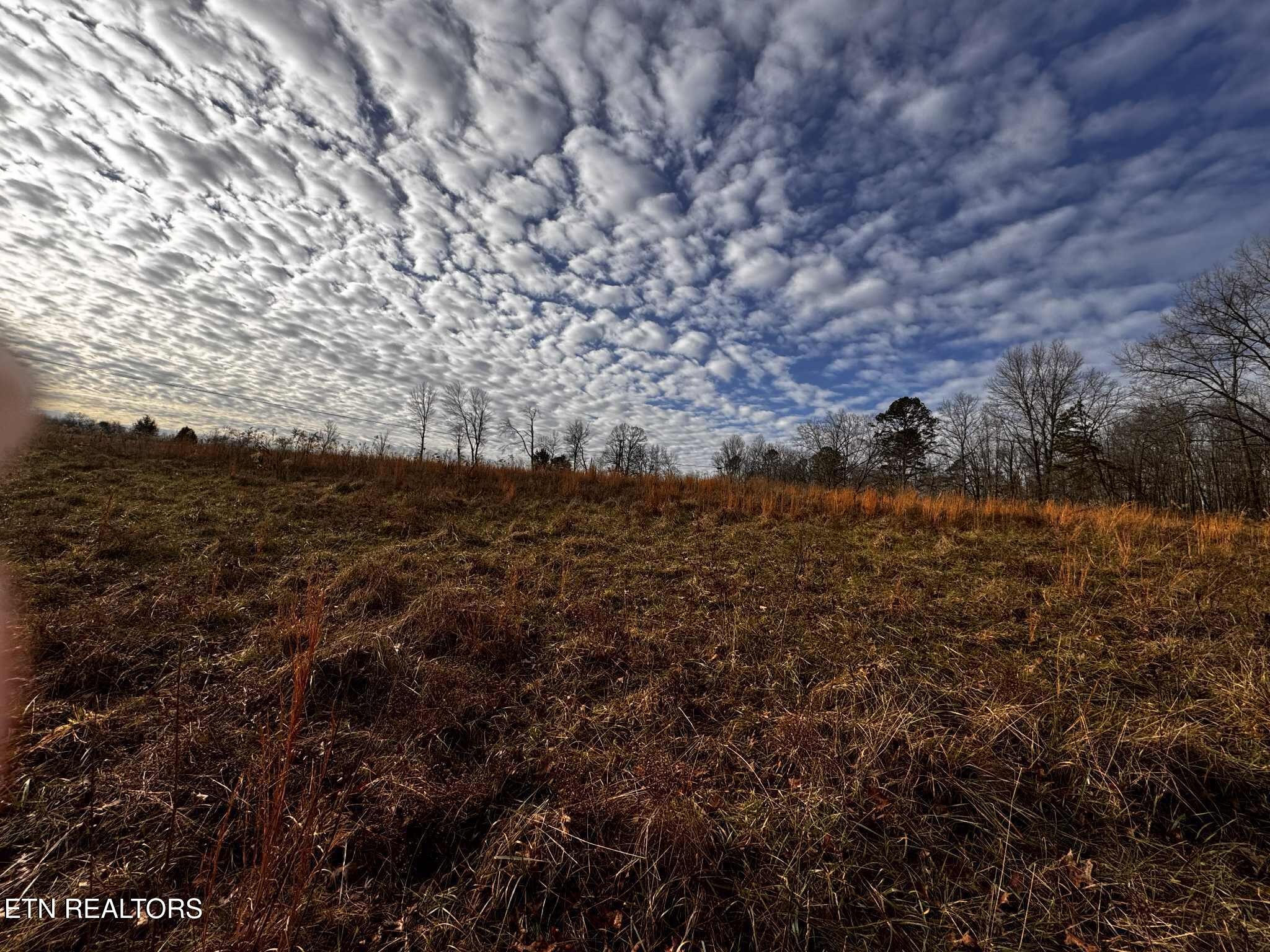 0 Smith Mountain Road Rockwood TN 37854