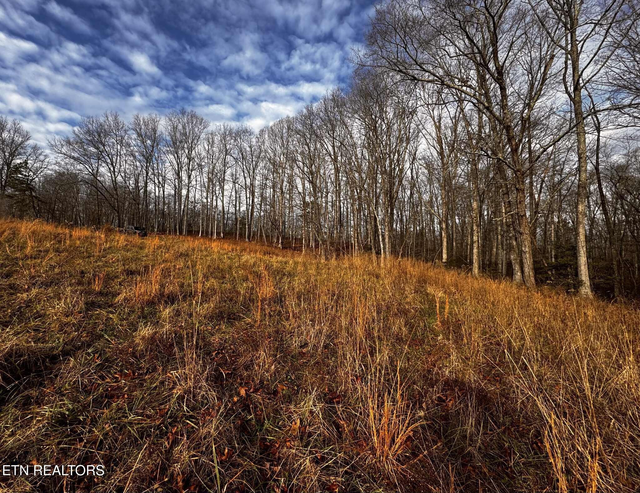 0 Smith Mountain Road Rockwood TN 37854