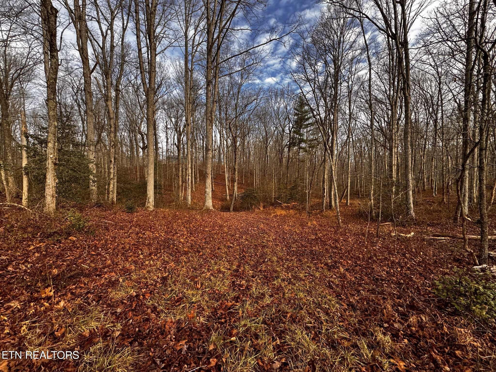 0 Smith Mountain Road Rockwood TN 37854