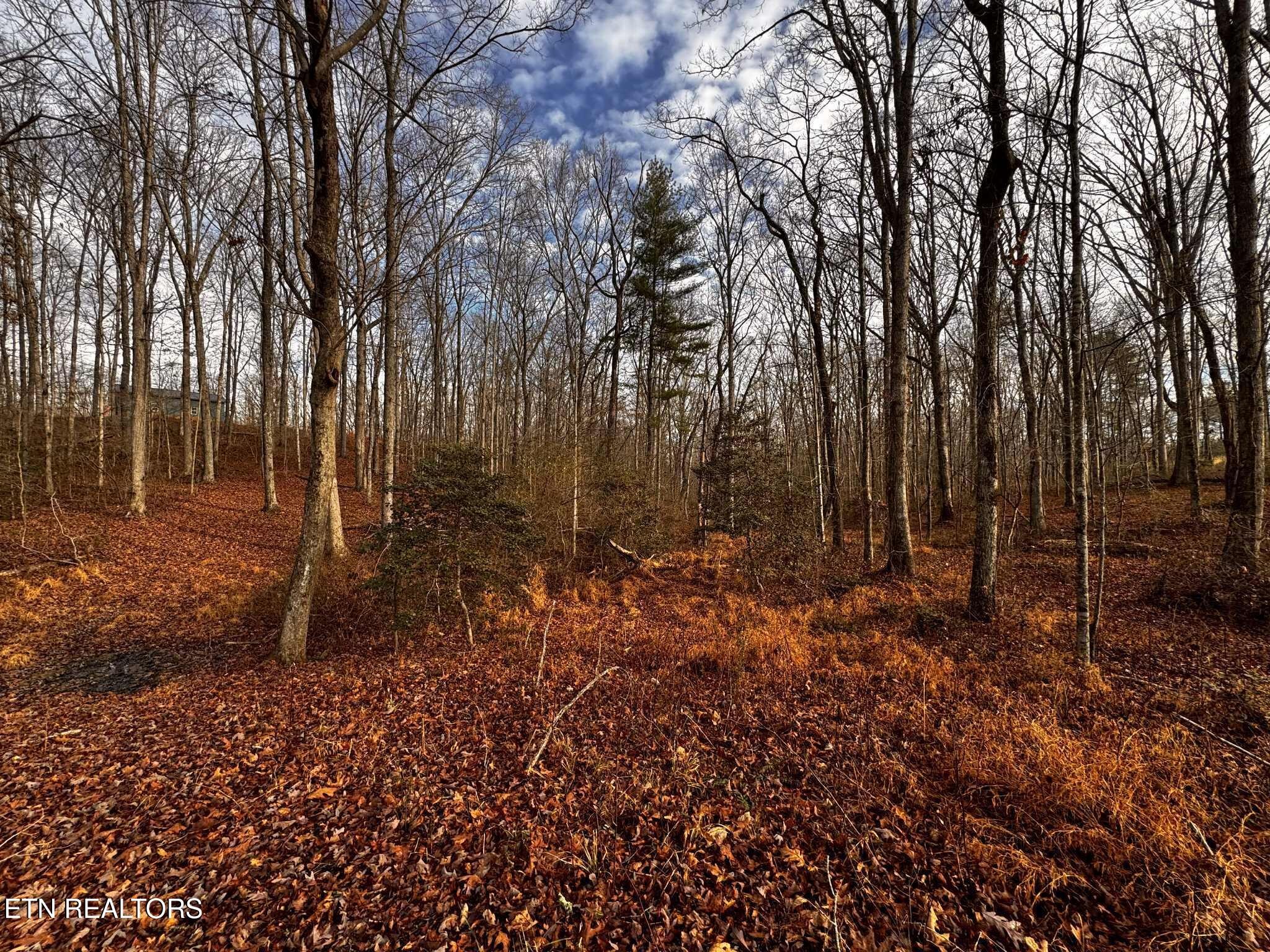 0 Smith Mountain Road Rockwood TN 37854